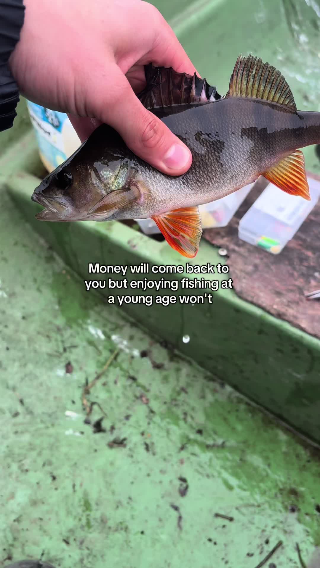 @Fishing With Alekss 🎣💎