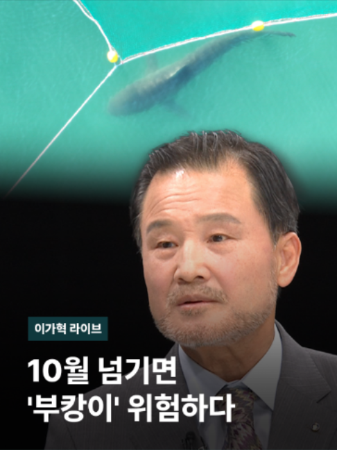 @JTBC News