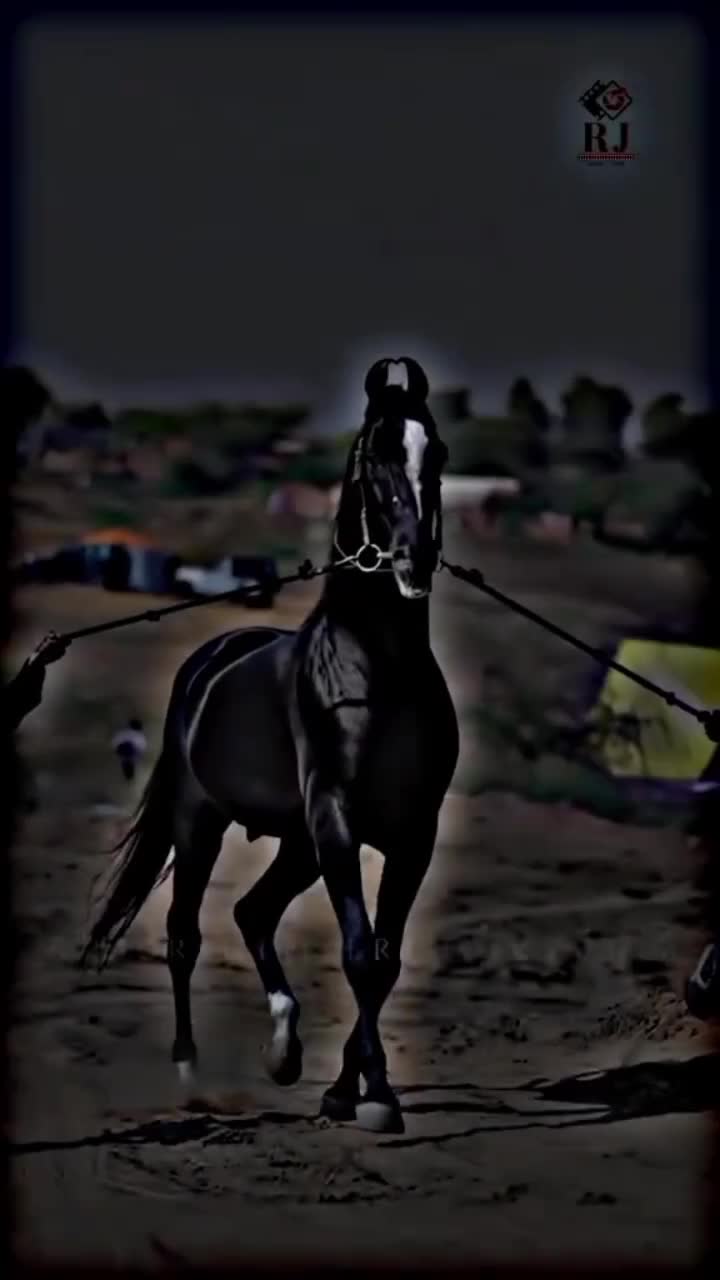 @⫸𝙈𝙞𝙍𝙯𝘼✫𝙎𝙖𝙍𝙆𝙖𝙍✫⫷