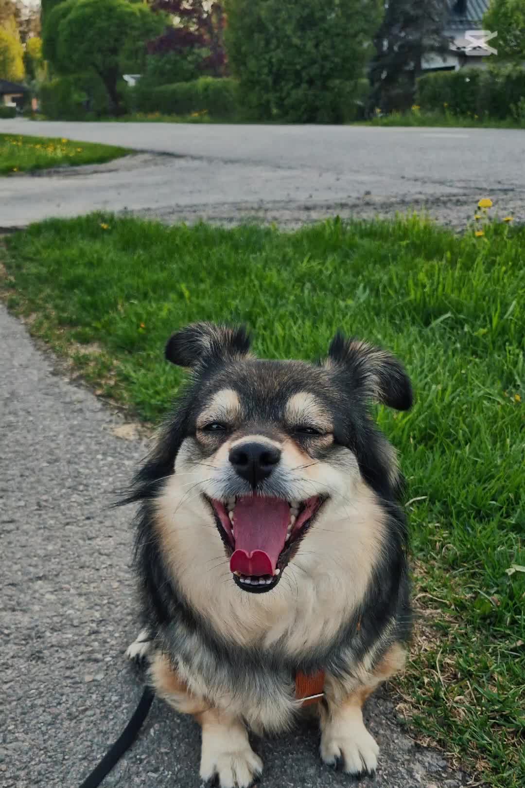 @MustaSyd&auml;n