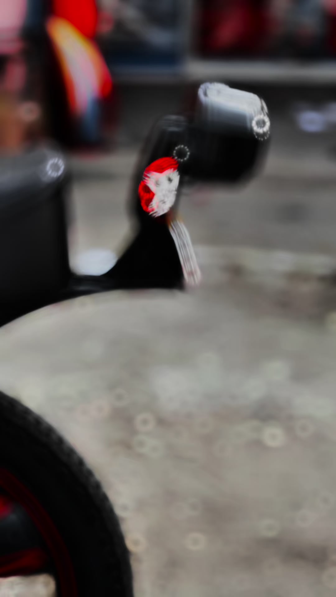 @ŴÄҨÄŚ.___.