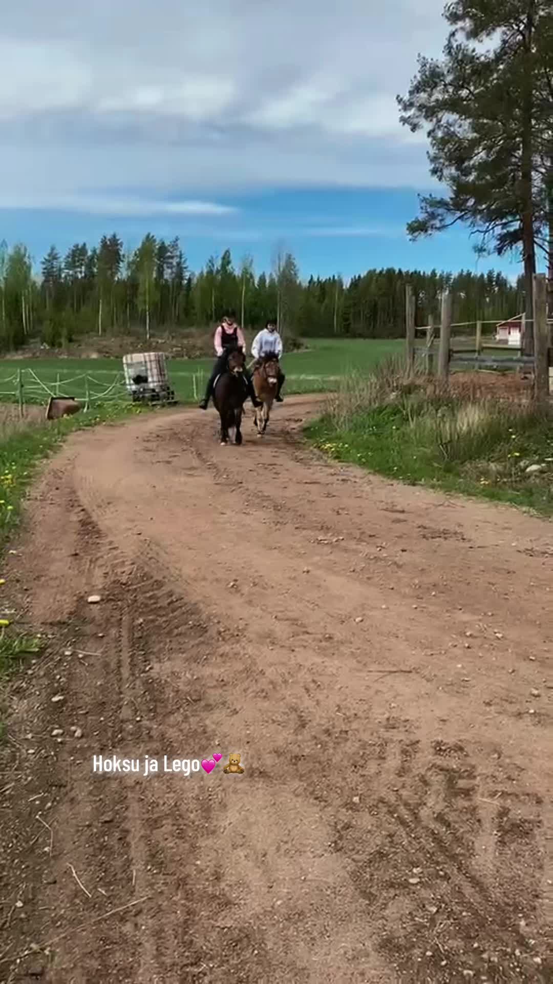 @Ponirannan talli🇫🇮🐎