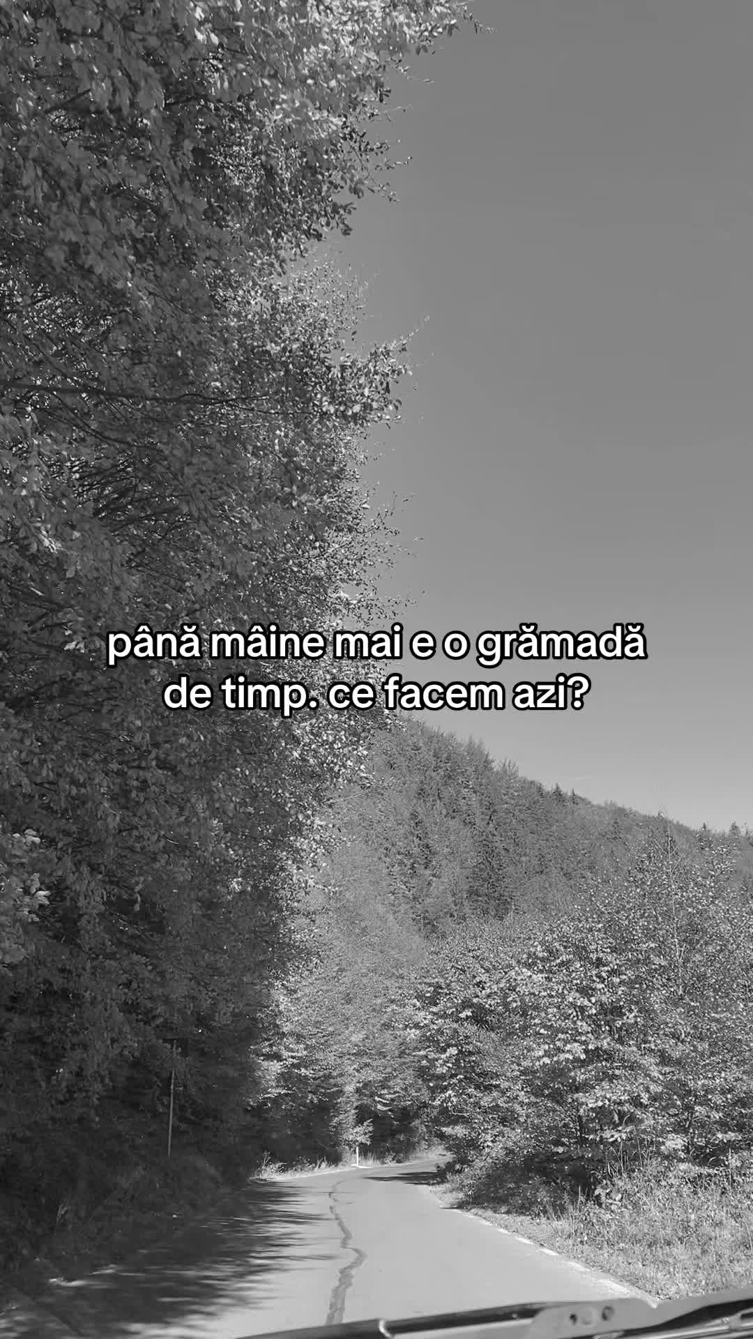 @Lumea Artiștilor