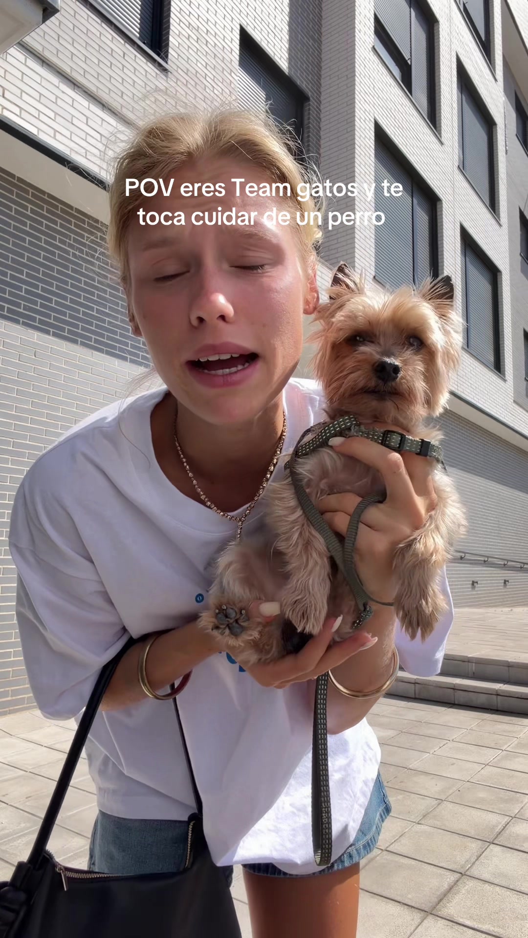 @sori