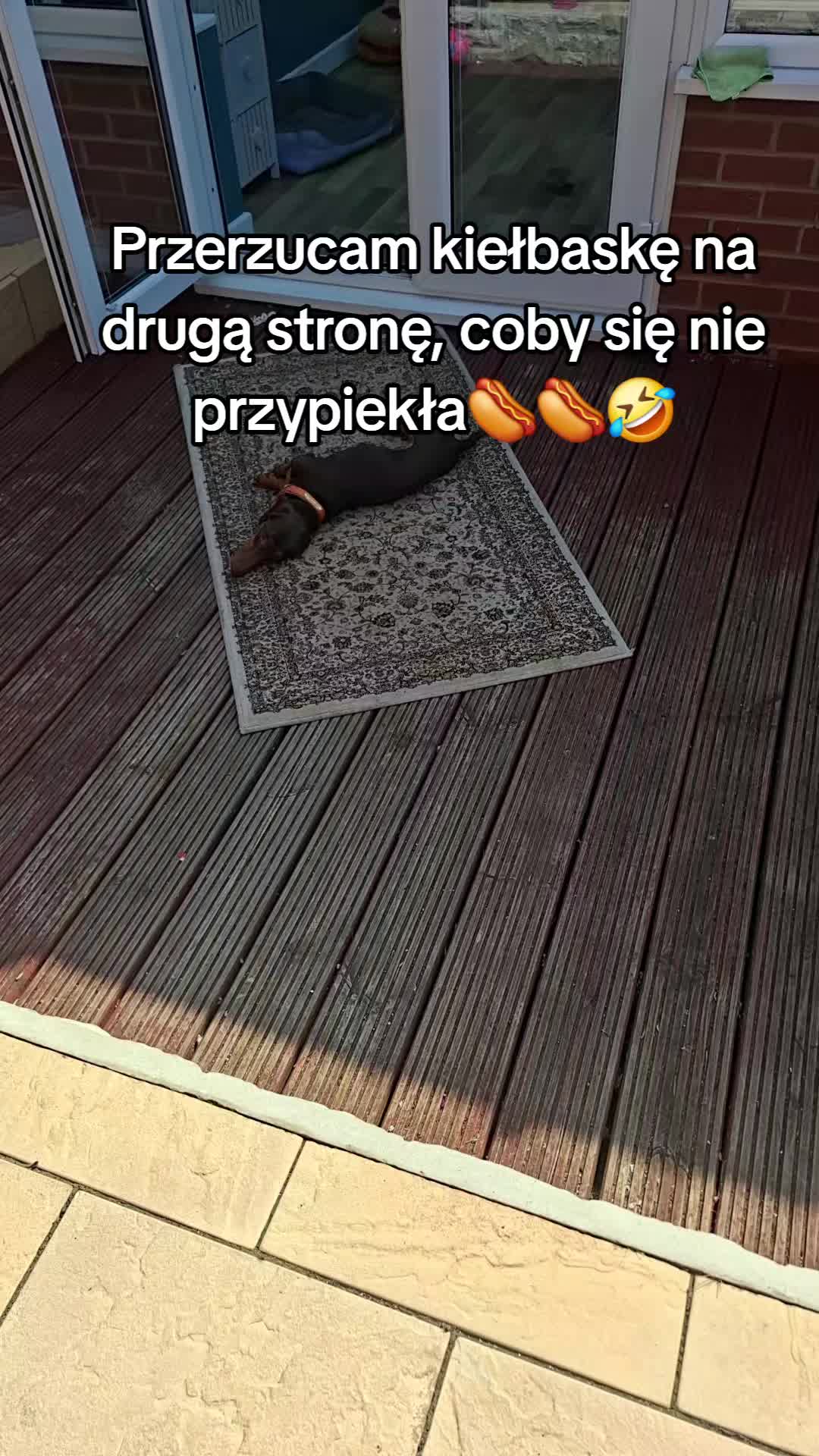 @🍀Stara Harpia🍀