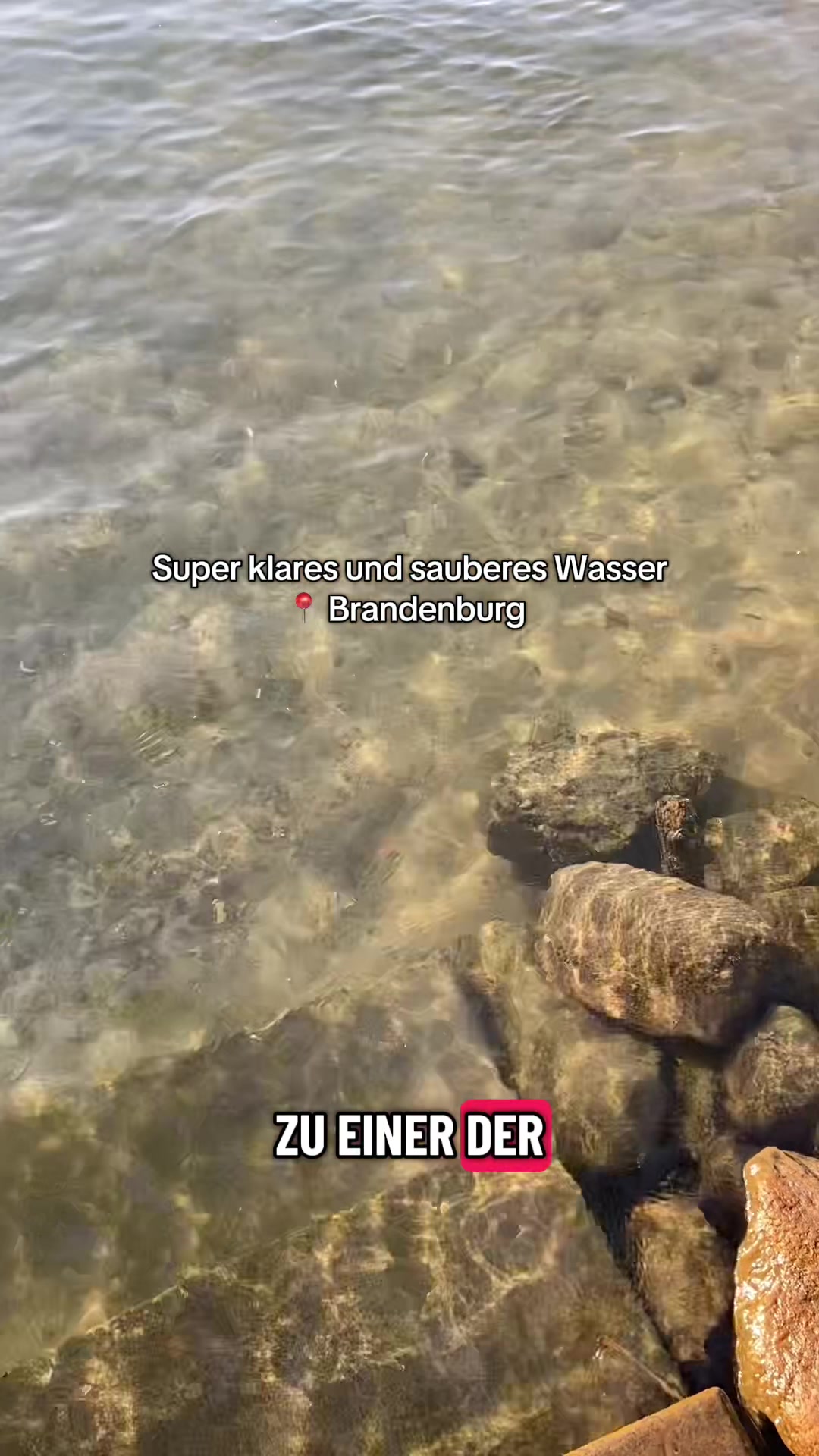 @kleopatra.bln