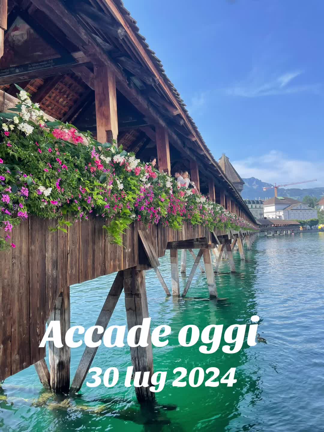 @Eleonora Demi ✅