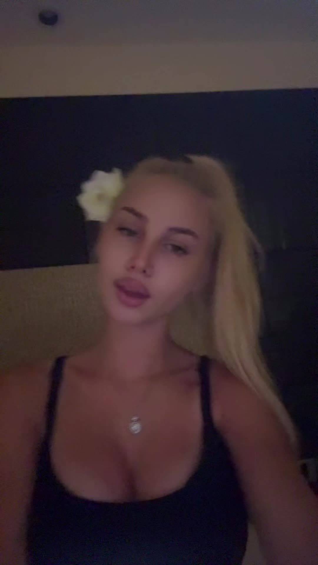 @🐰