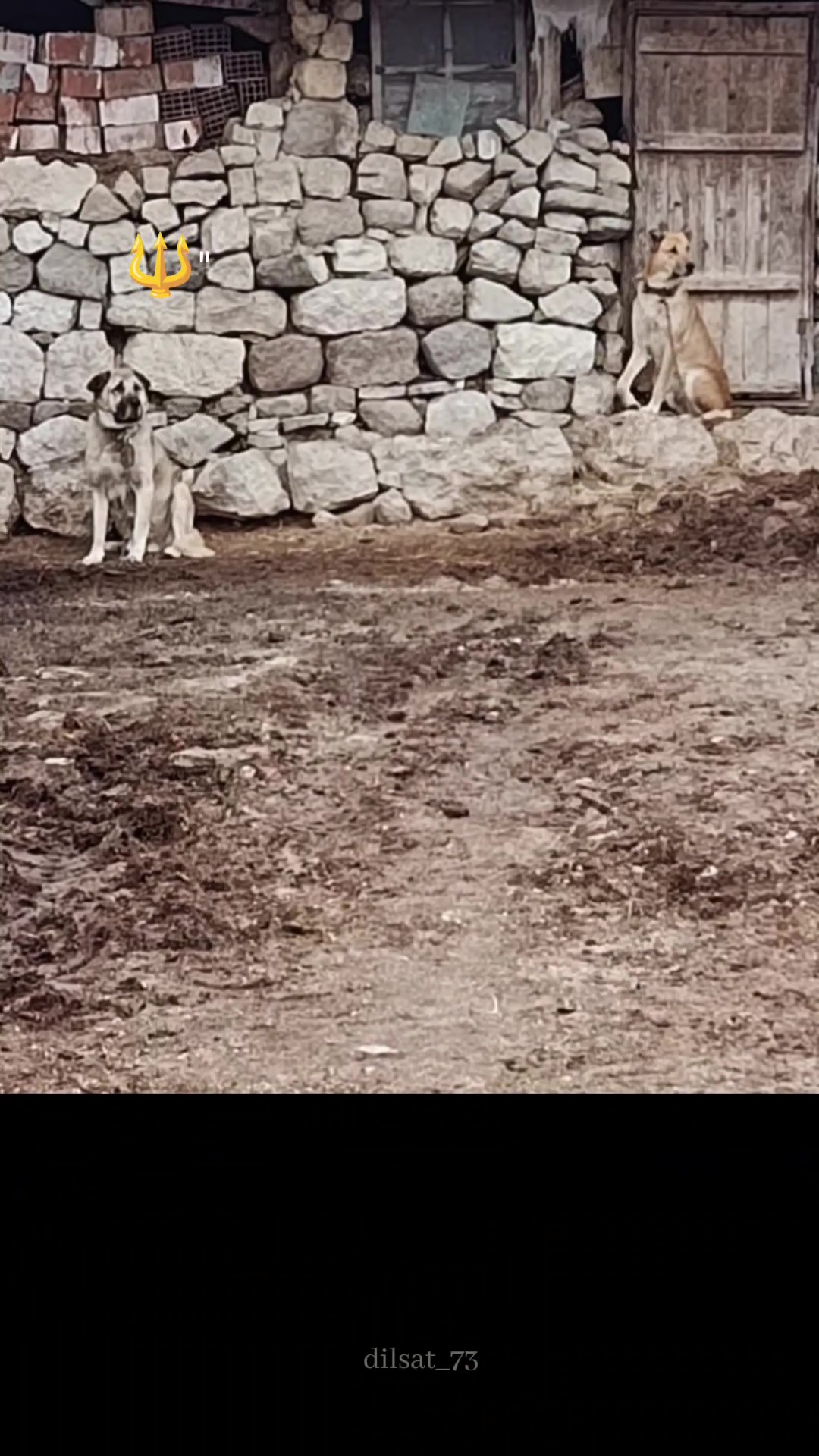 @UMUT.55