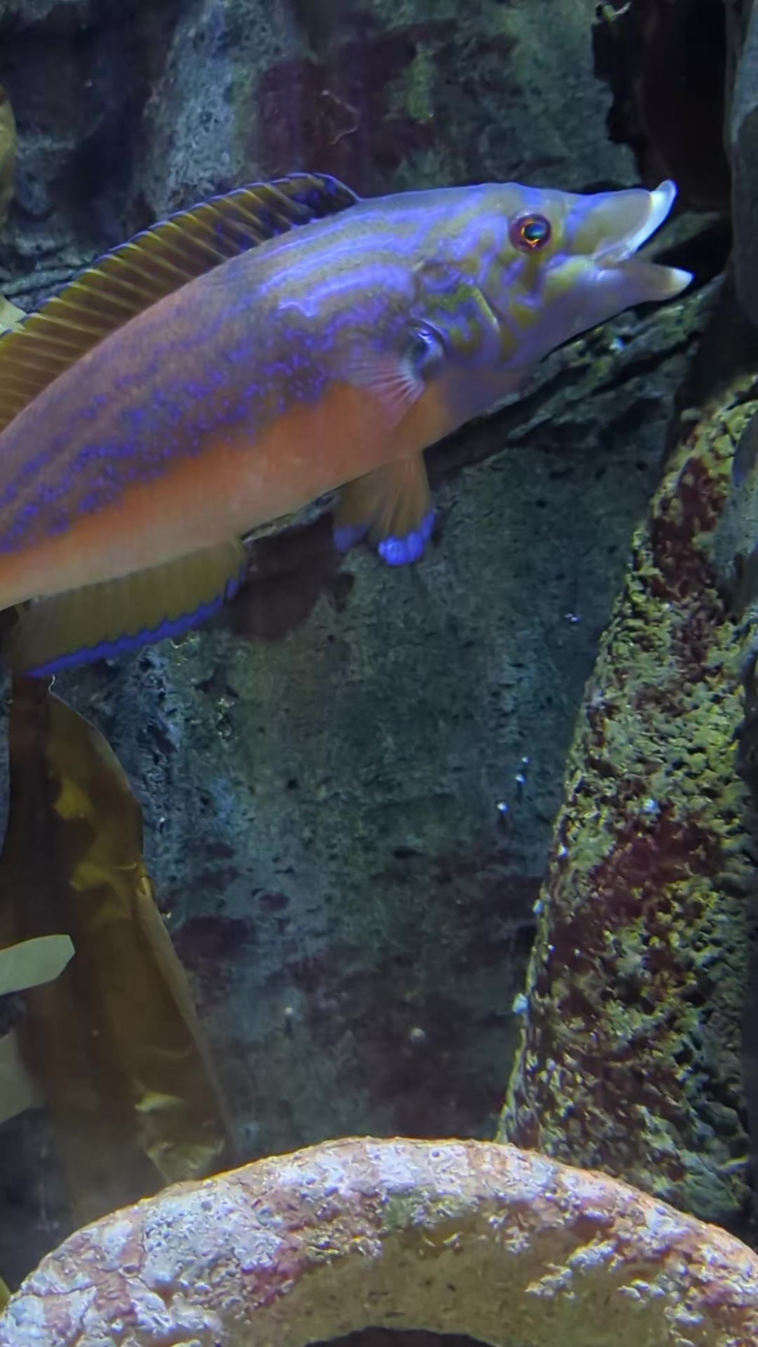 @BristolAquarium