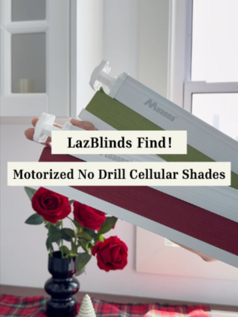 @LazBlinds