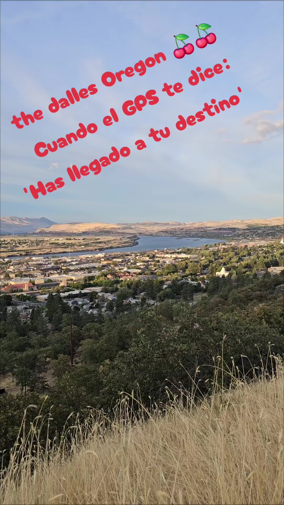 @fulgencio🤠