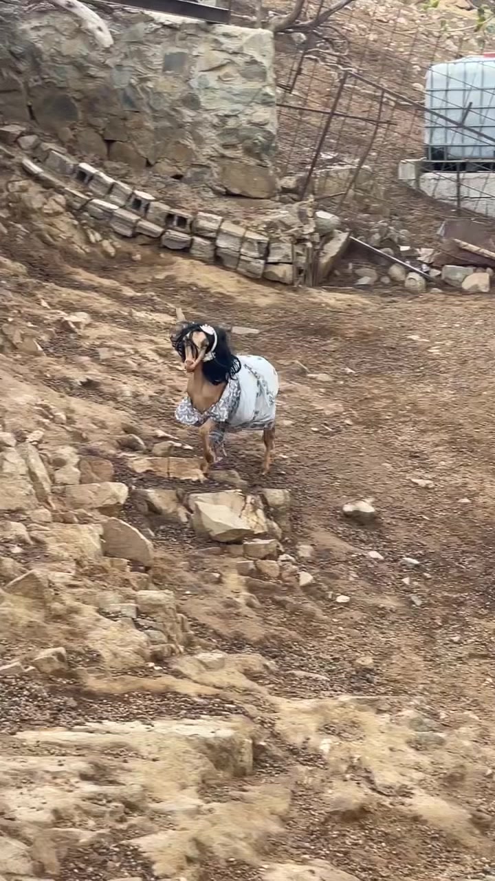 @con.l0