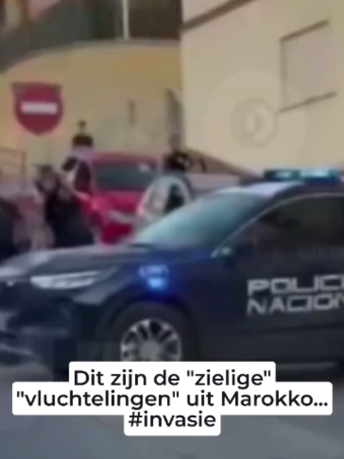 @De Rechte Lijn