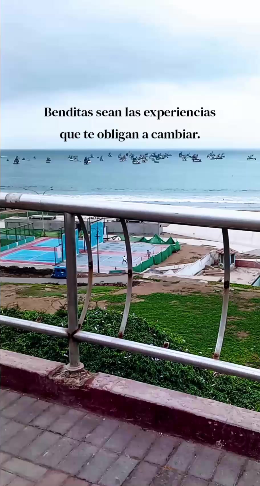 @Nani Torres