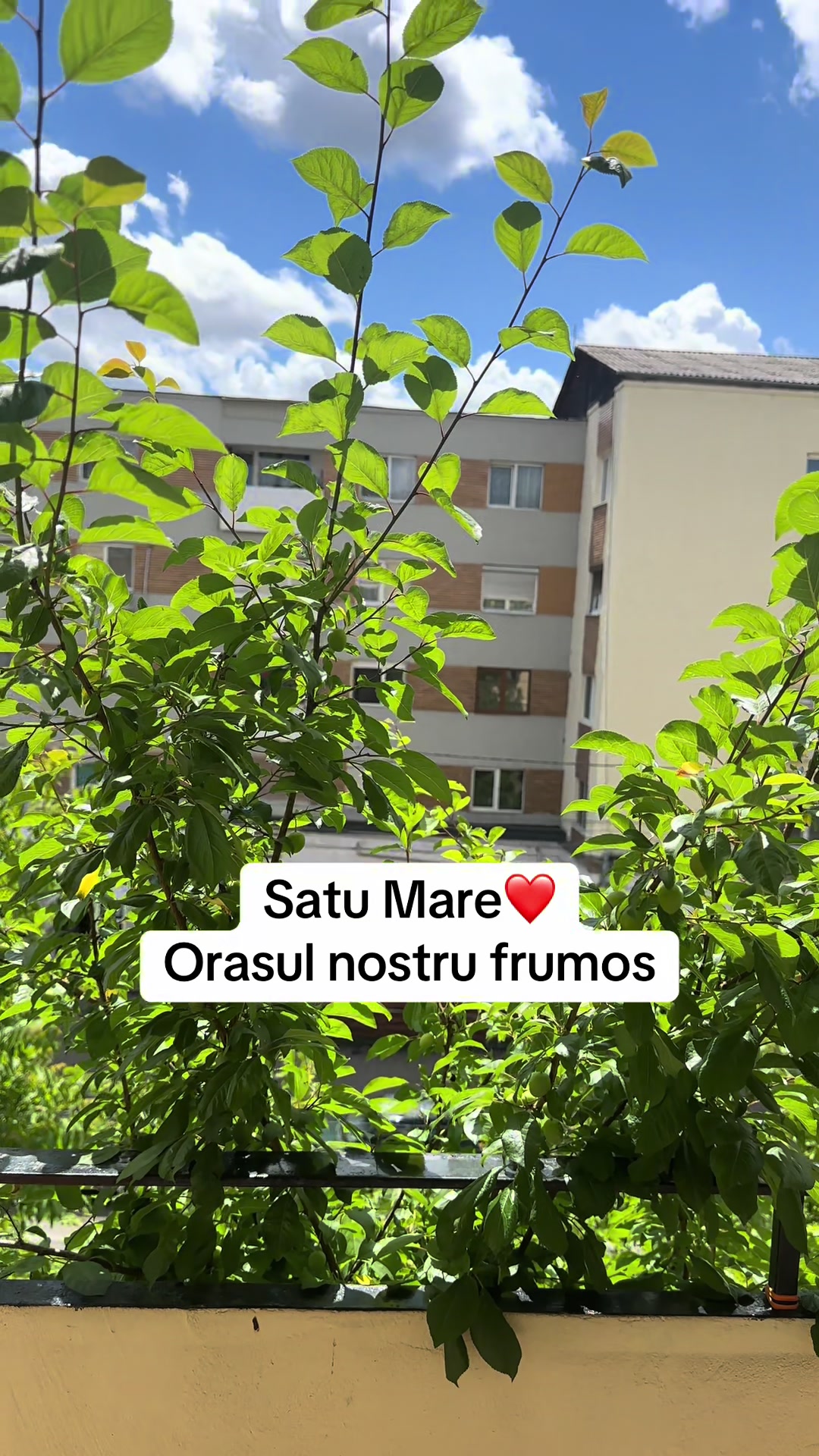 @Marian Lucuț.&reg;️