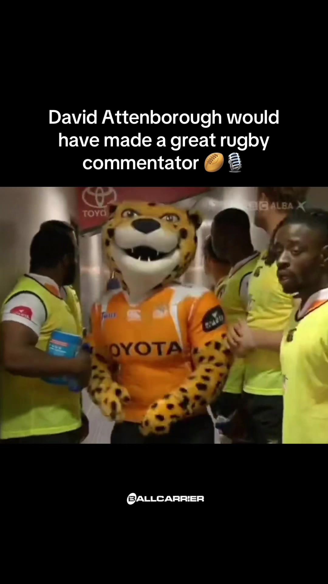 @BALLCARRIER RUGBY