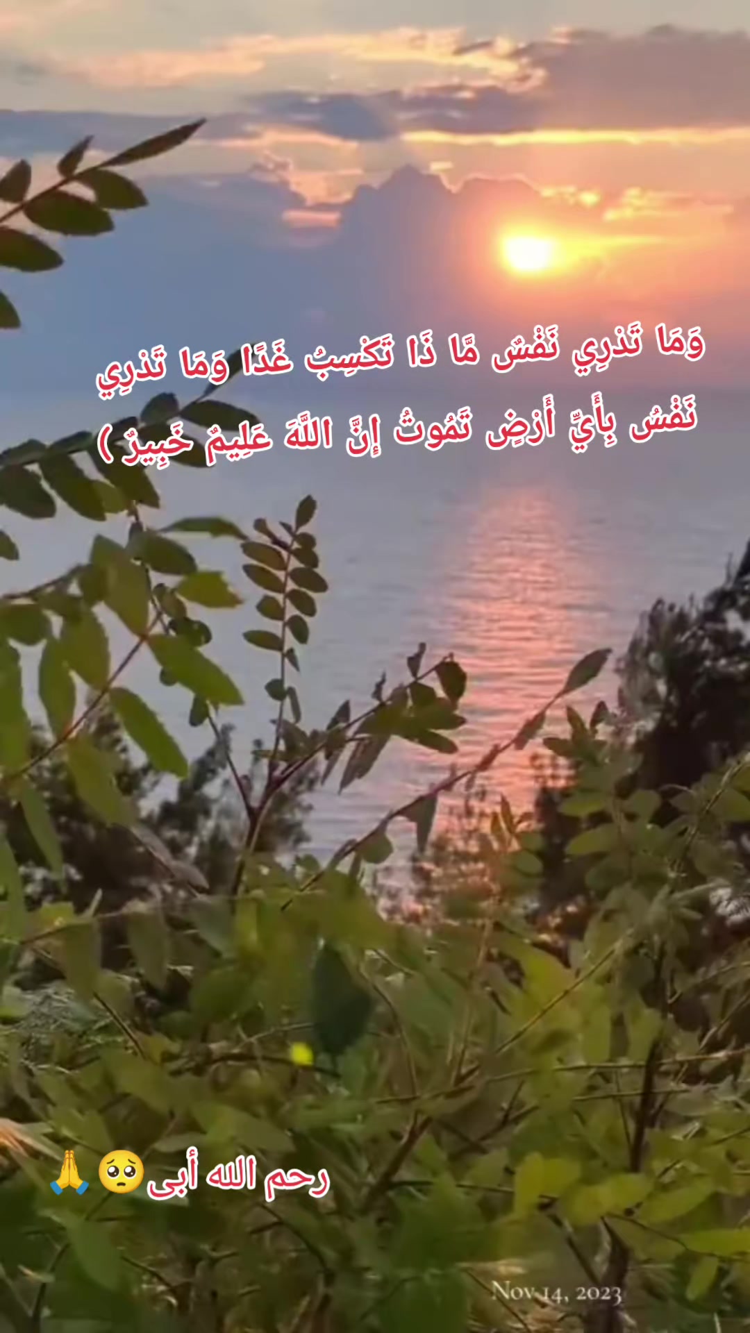 @⚔️👻♥️👑꧁حٍيَاة꧂👑♥️👻⚔️