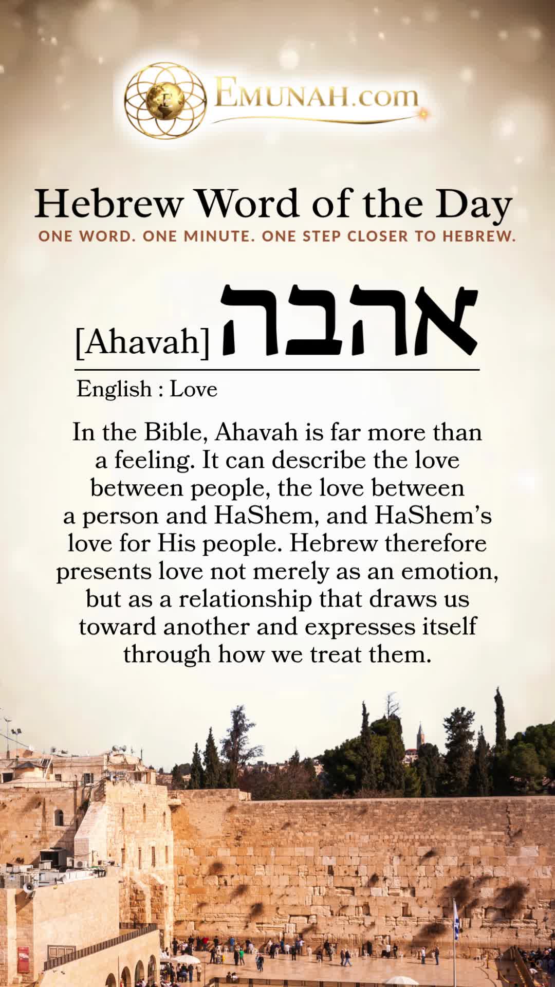 @Rav Dror