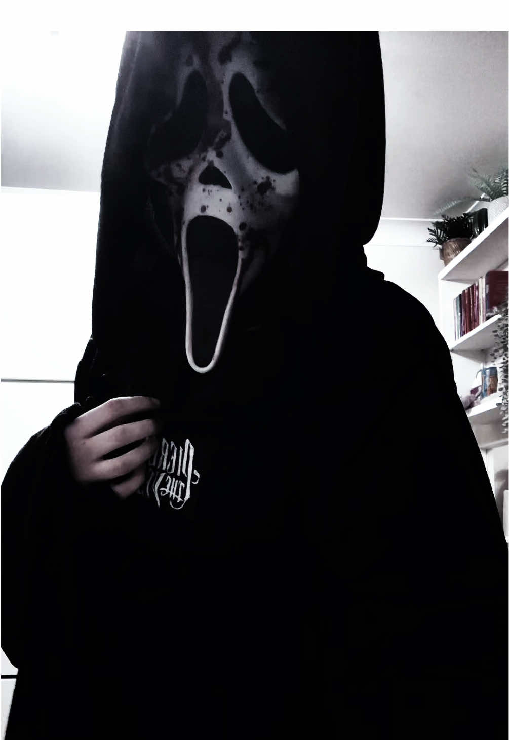 @𝕬𝖒𝖇𝖊𝖗 🔪.⋆♱⃓.✦ ݁˖