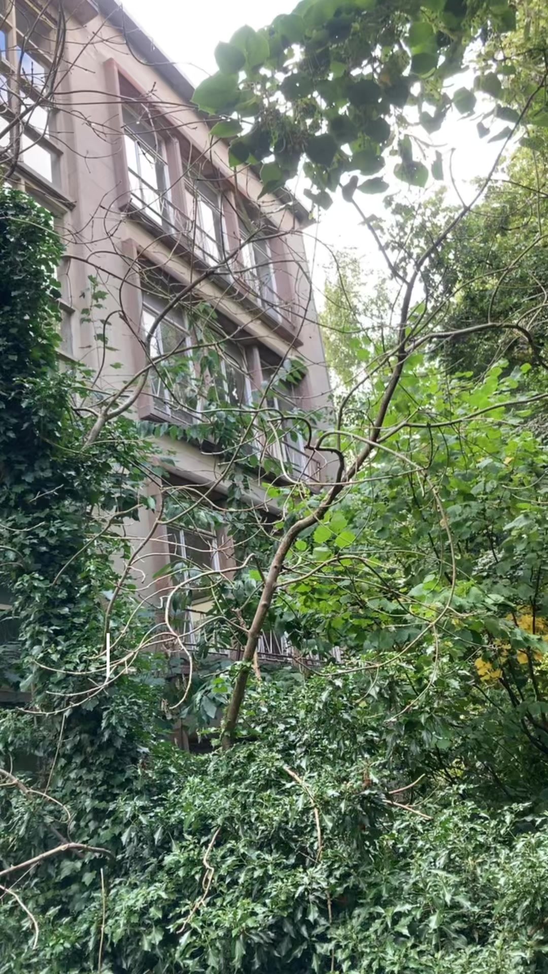 @Urban Exploring W Yorks