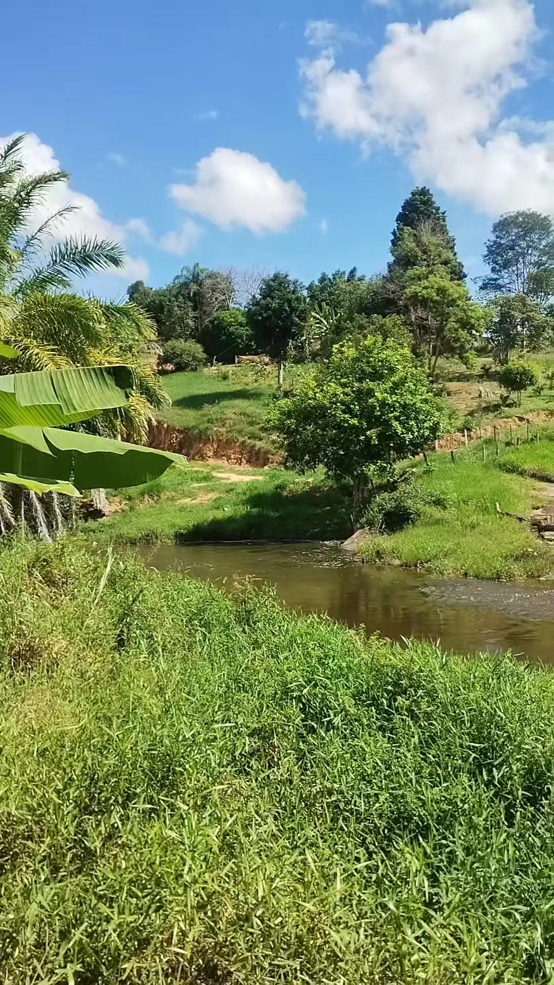 @Roça 🤠🌱