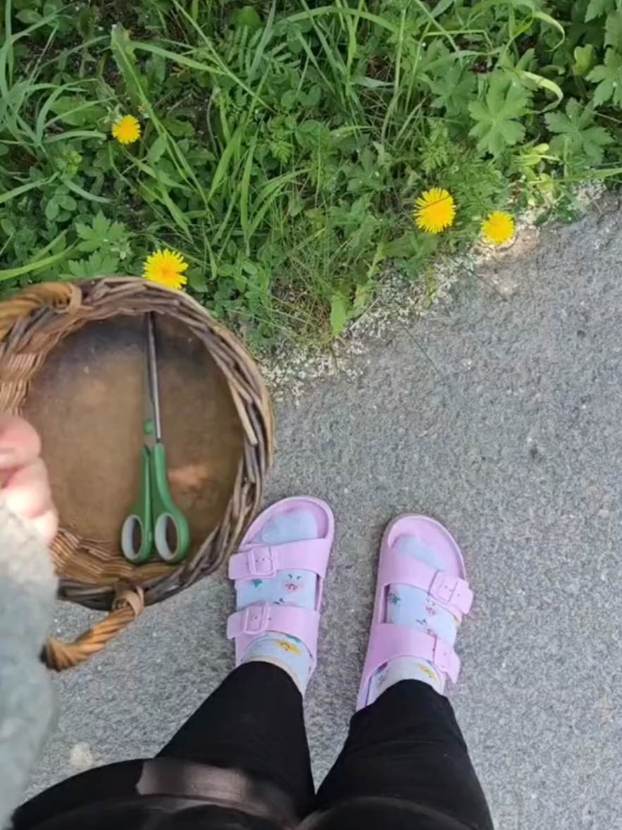 @L I S A 🌈🌷🧸🧋