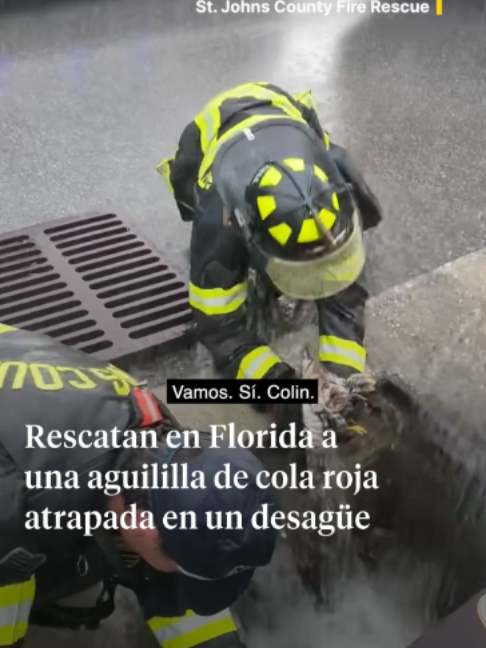 @La Vanguardia 🗞