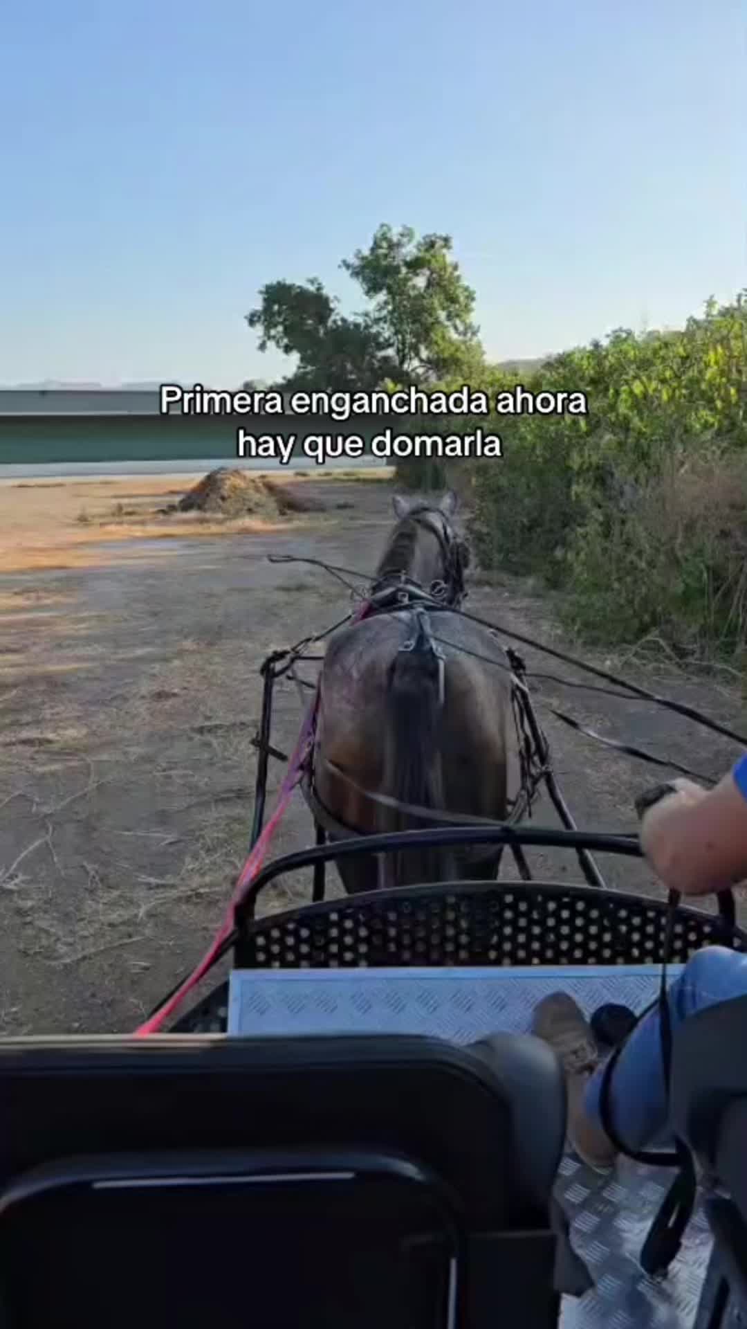 @rafa