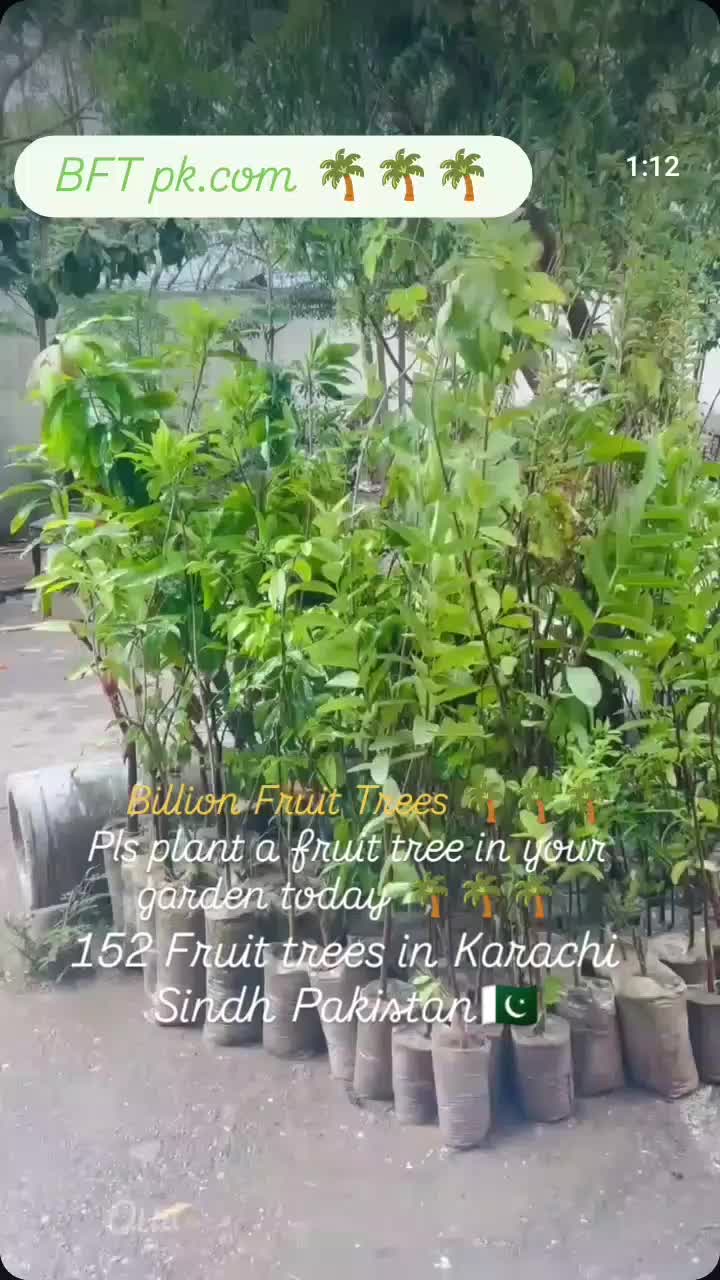 @BFT tv๐ธ๐ช๐ด๐ด๐ด