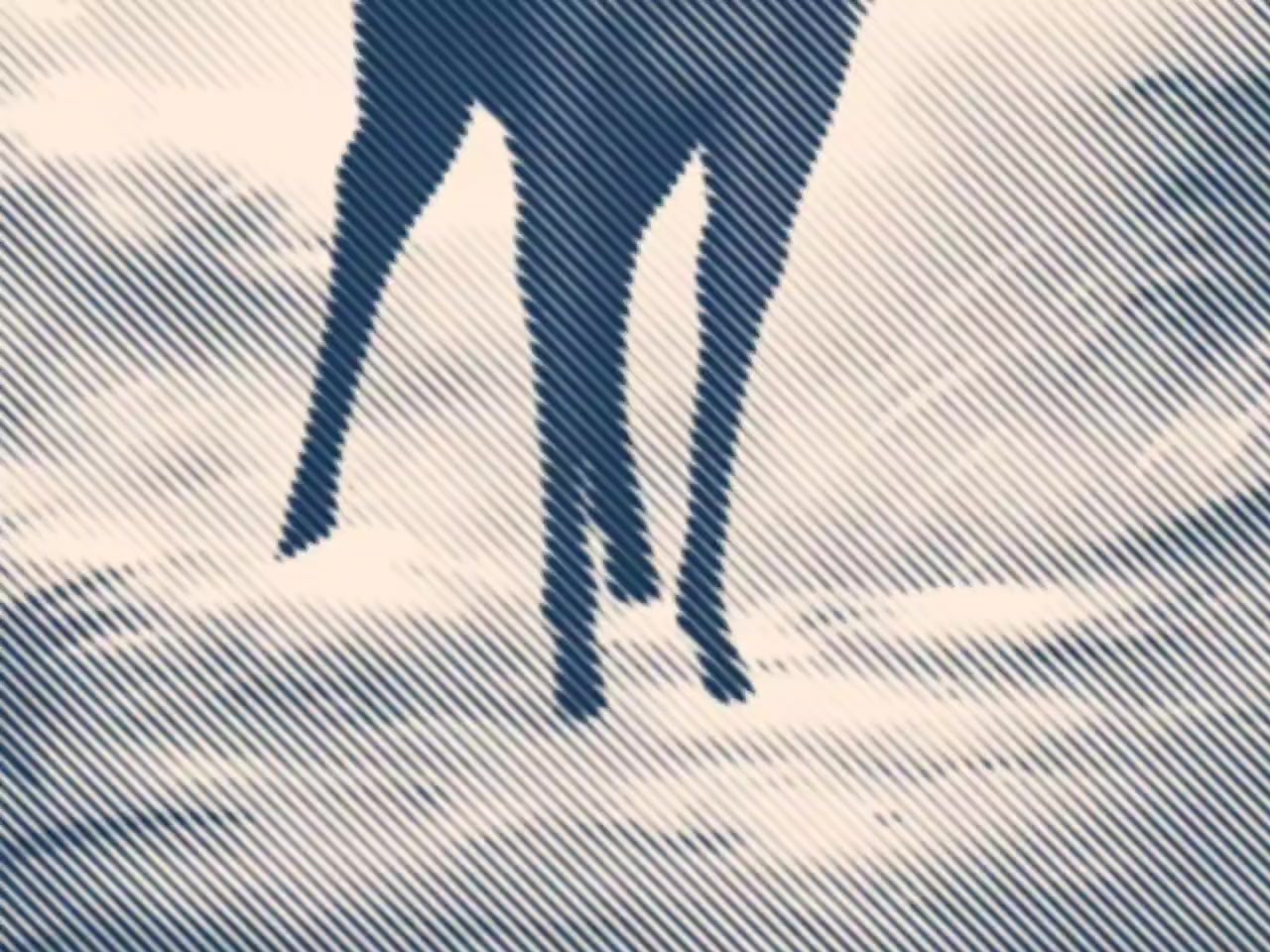 @𝙿𝙾𝟸𝟸𝙾