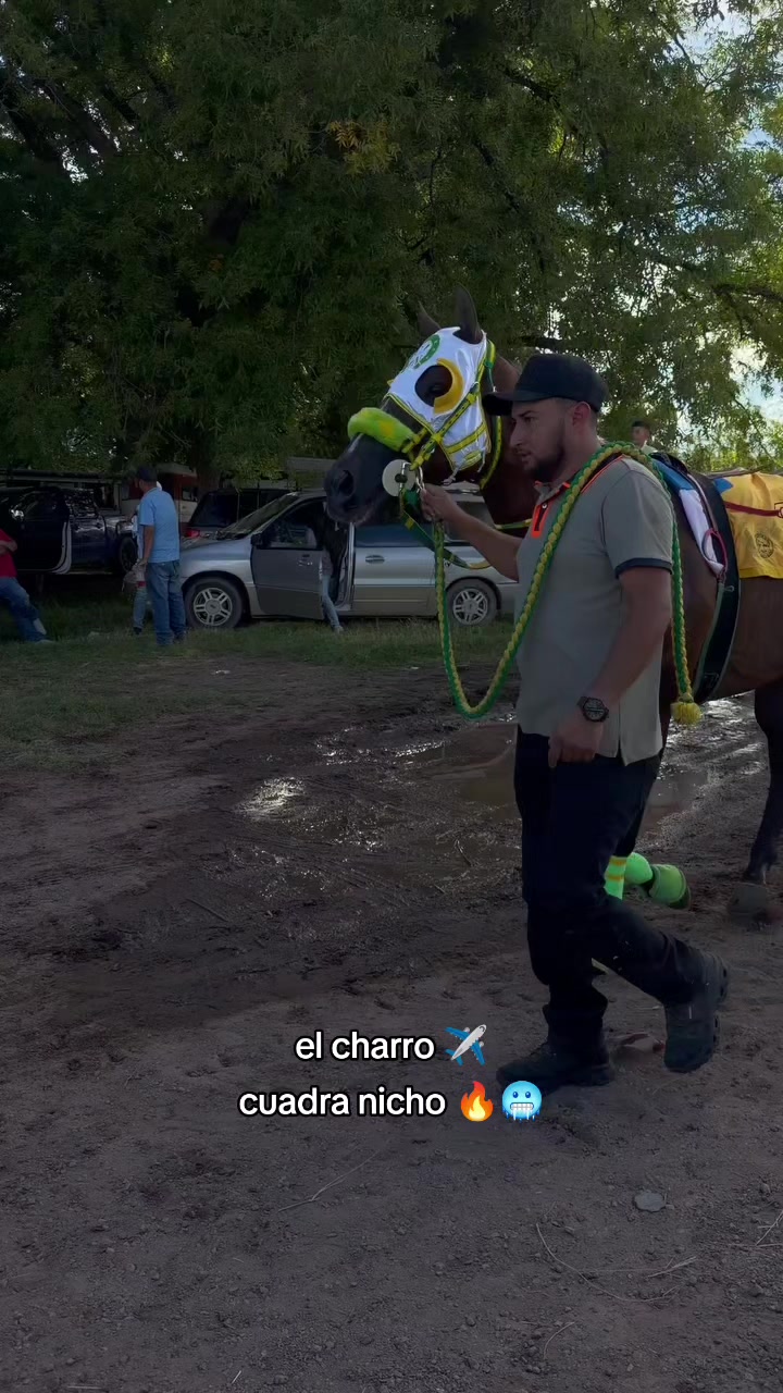 @carriles altos de jalisco🐎