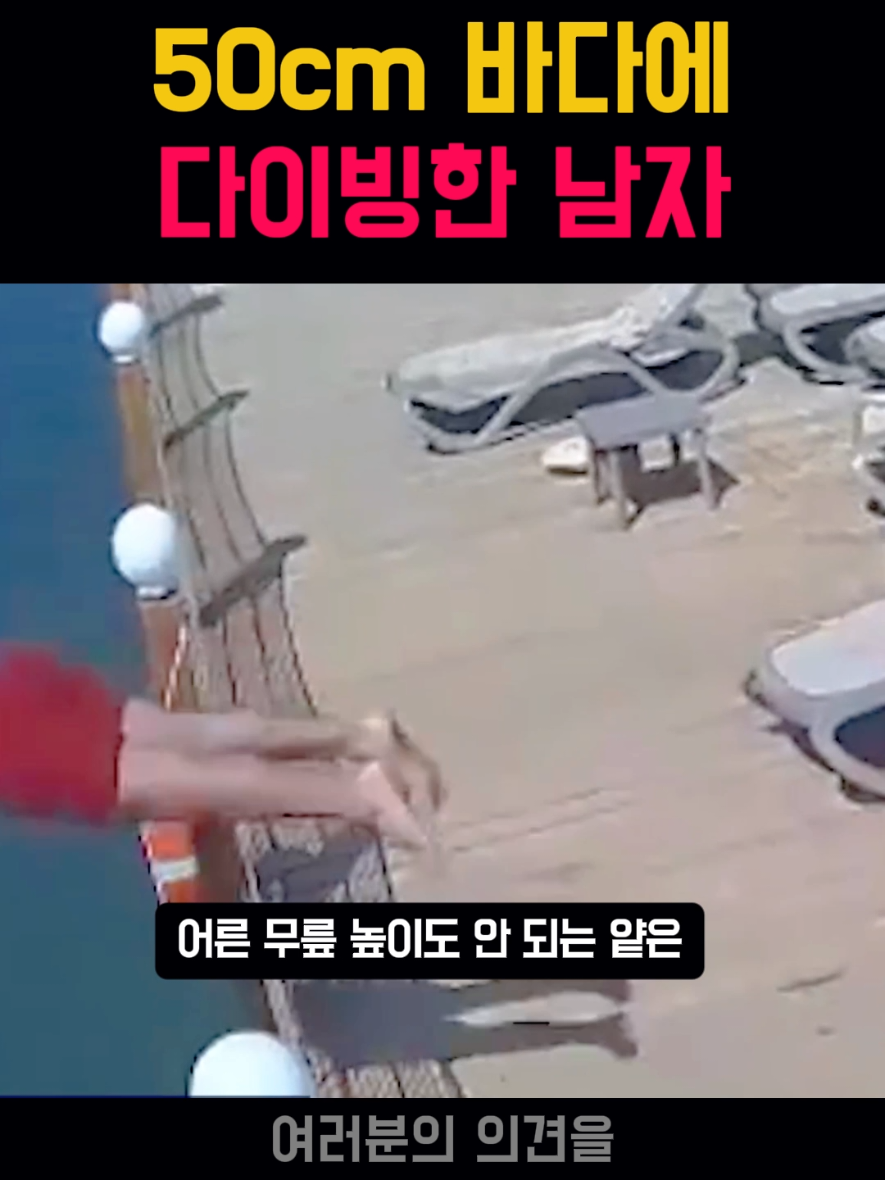 @뉴스한줄