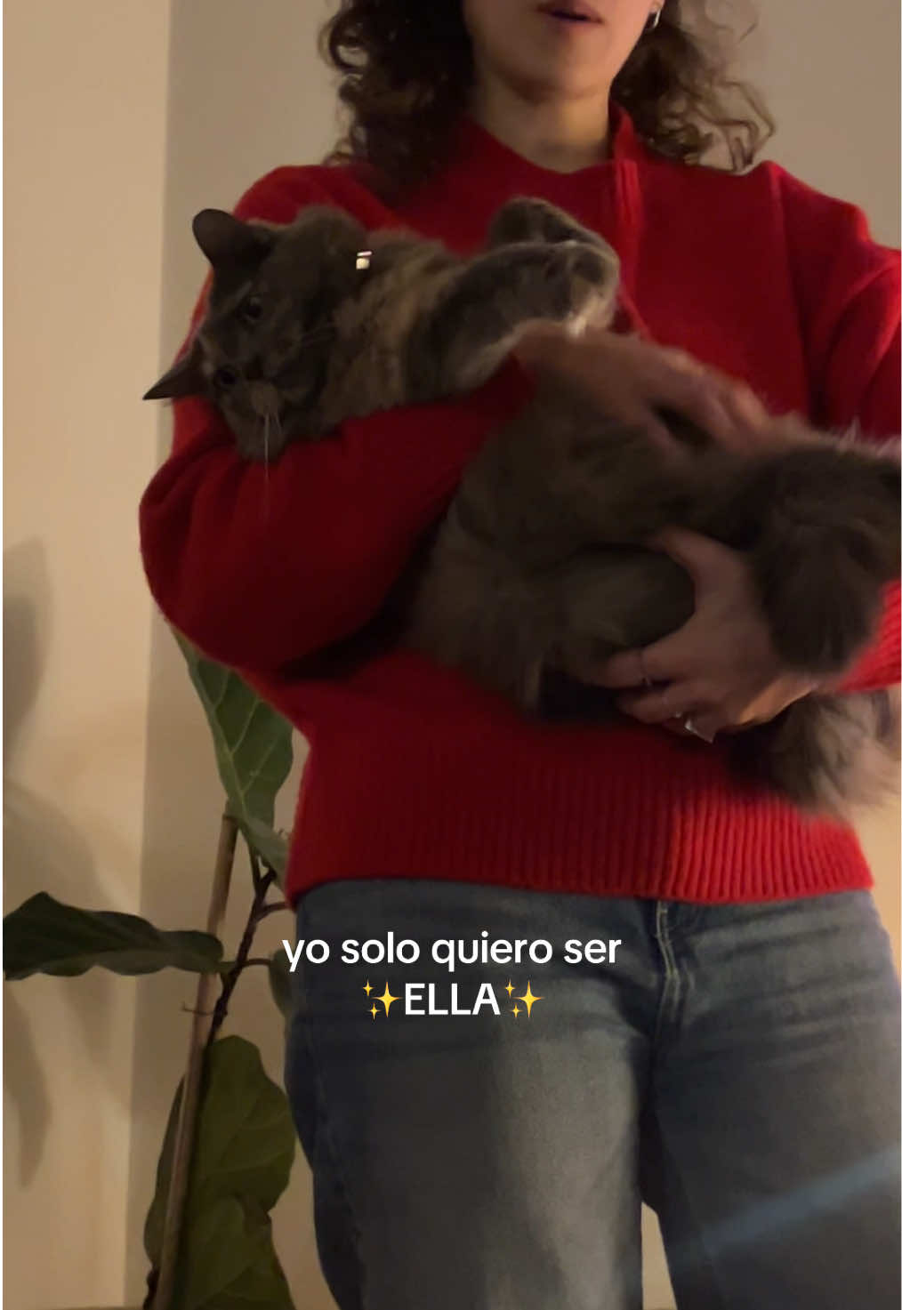 @Mora Navarro