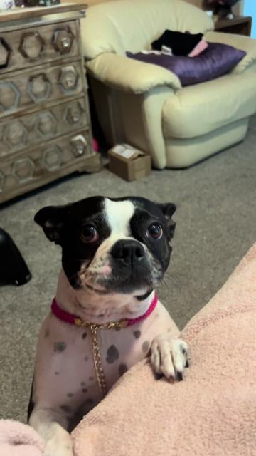 @lynda_satx