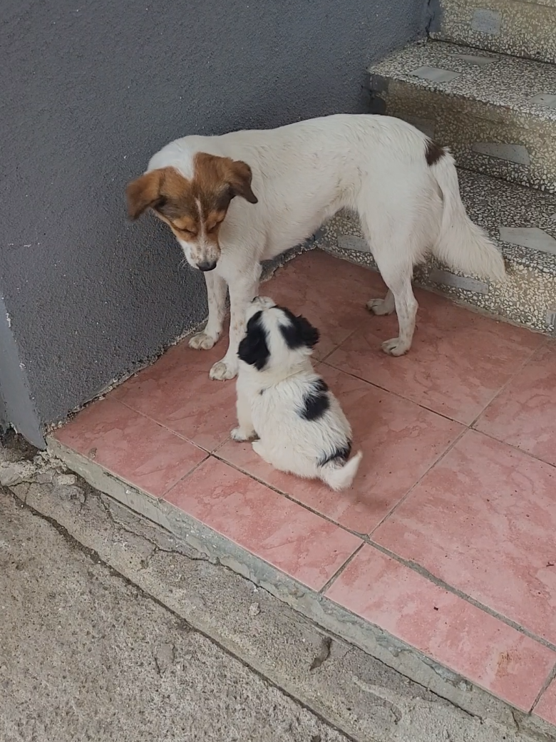 @kediannesi54