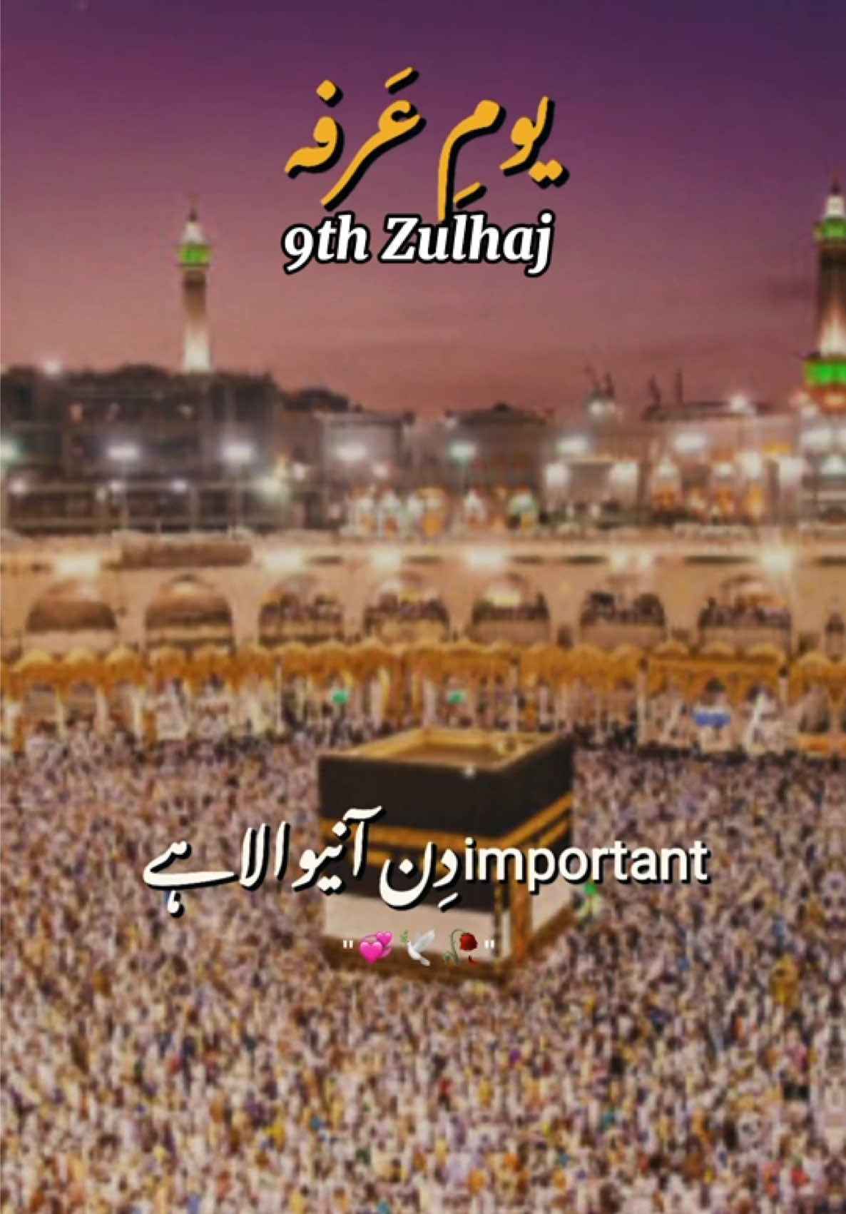 @Umair Khan