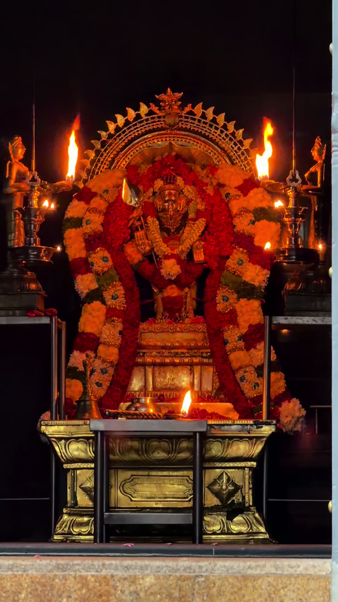 @⚜️🔱🕉️Vijay@விஜய்🕉️🔱⚜️
