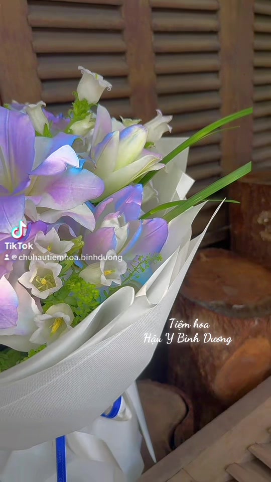 @Chú Hậu Tiệm Hoa Bình Dương