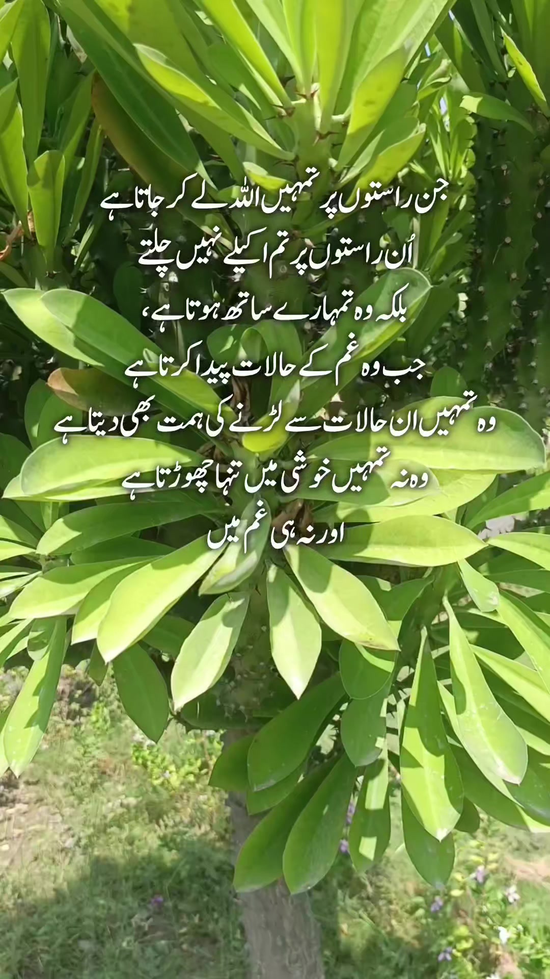 @Kainat Quotes