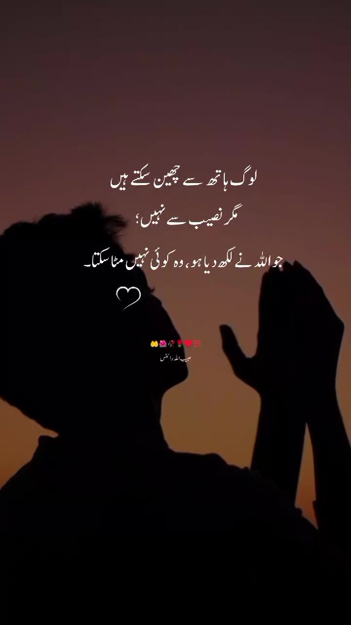 @حبیب اللہ ✍️