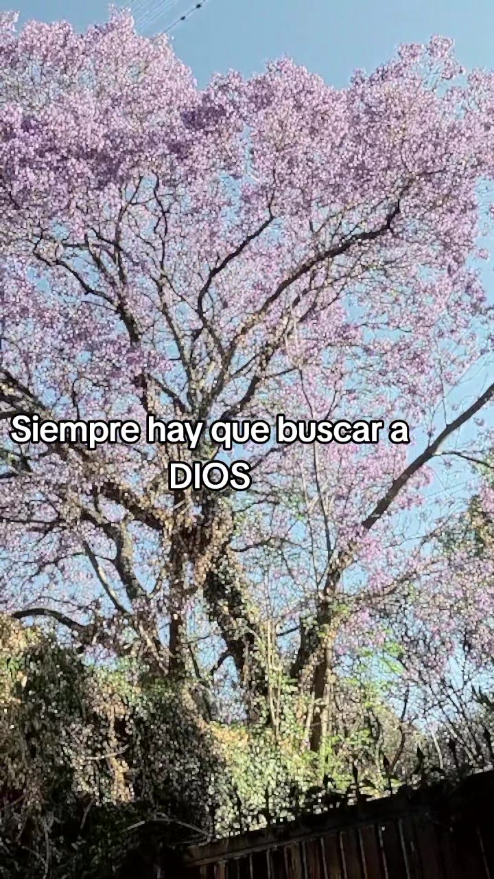 @🩷🌷Chatisss🩷🌷