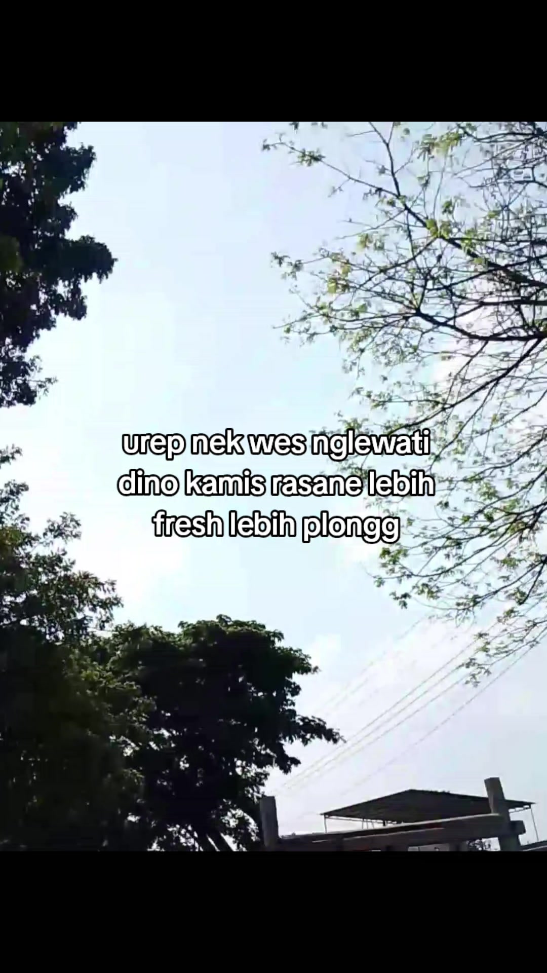 @Ditzhahahihi๏ฃฟ