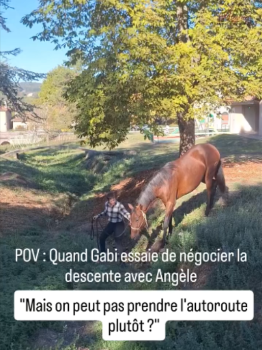@Alegria Relation de Complicit&eacute;