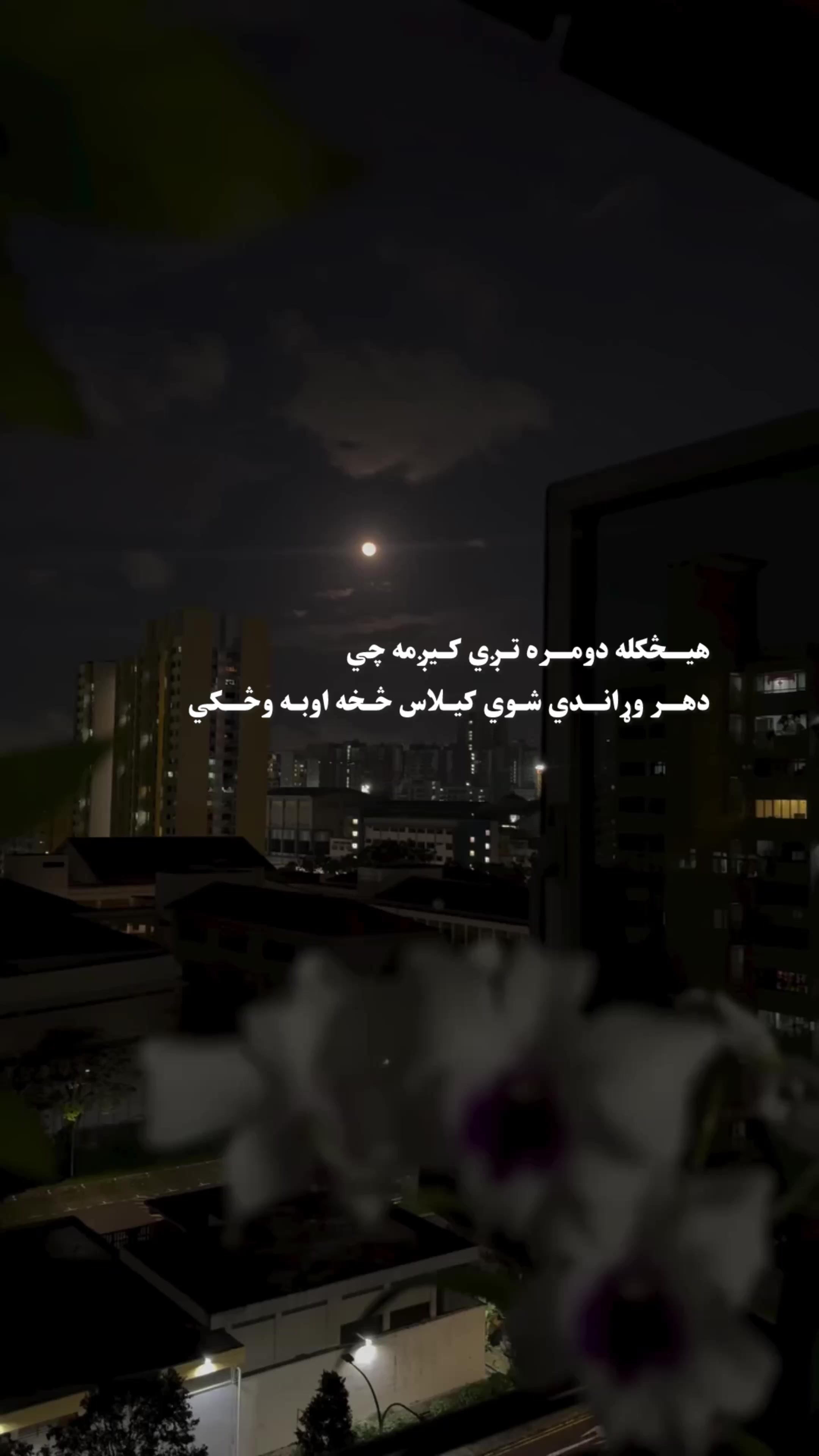 @ahmad313s3