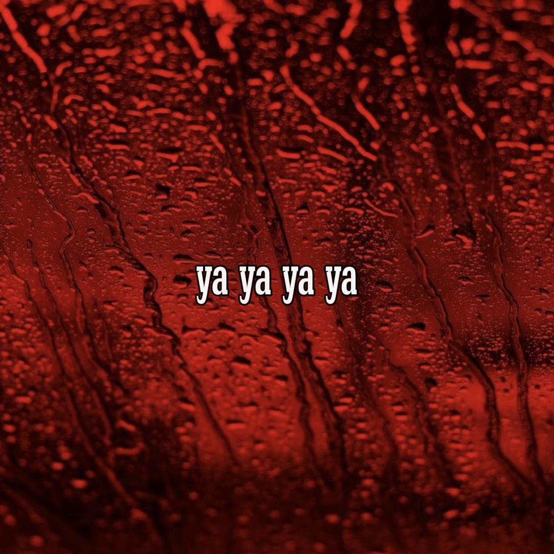 @vj