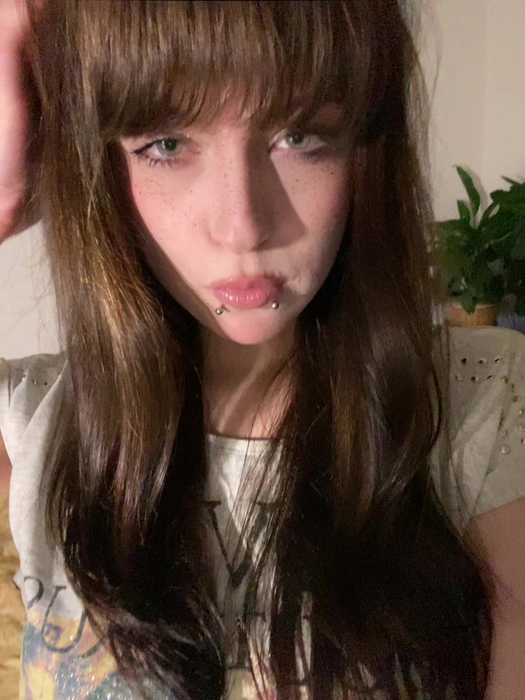 @ibarakisser