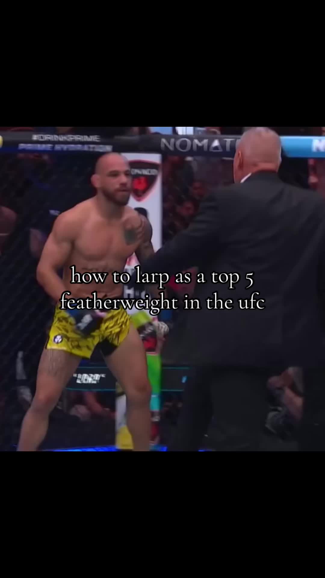 @shamilkanovski