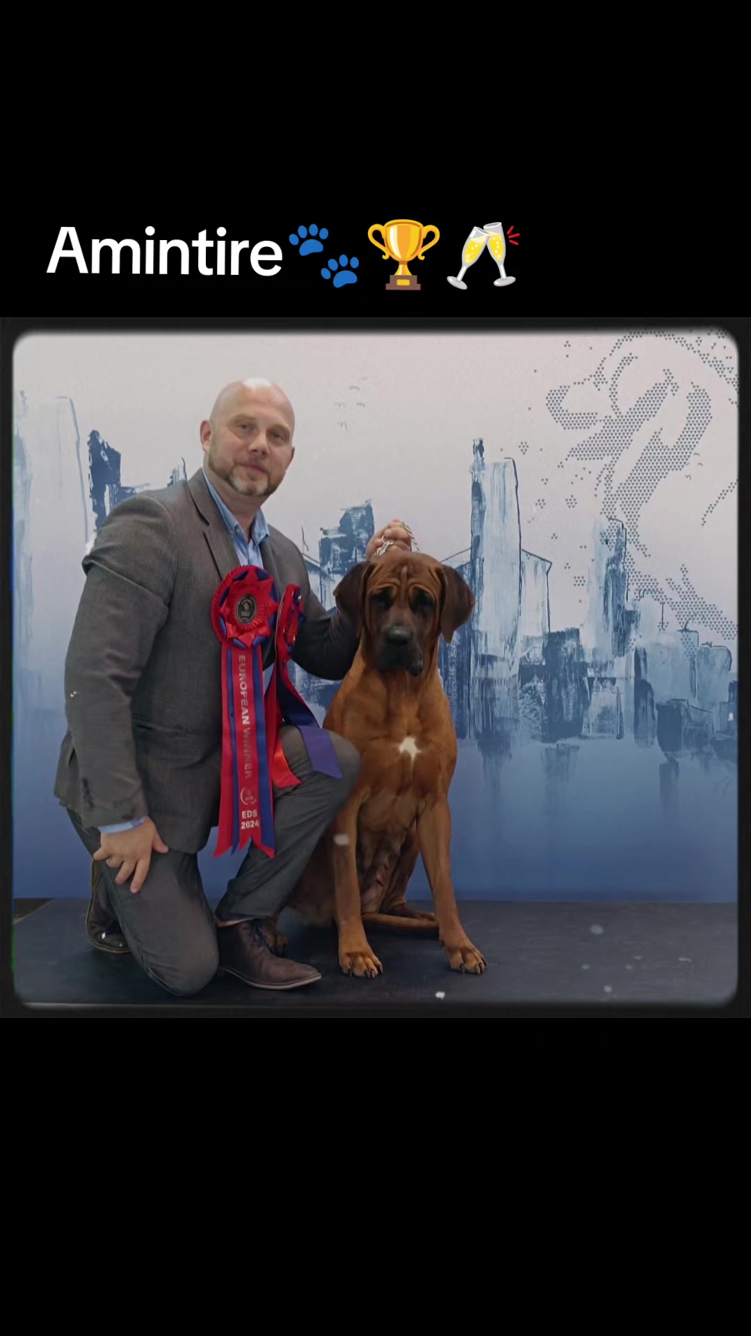 @Spirit of Asia Kennel