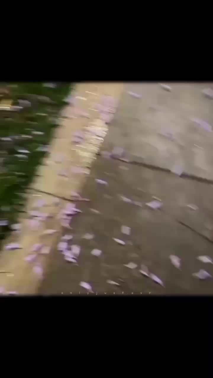 @โโกโ๐๐๐๐ฆ๐๐ข๐ ๐ก.๐๐ฃ๐โโกโ